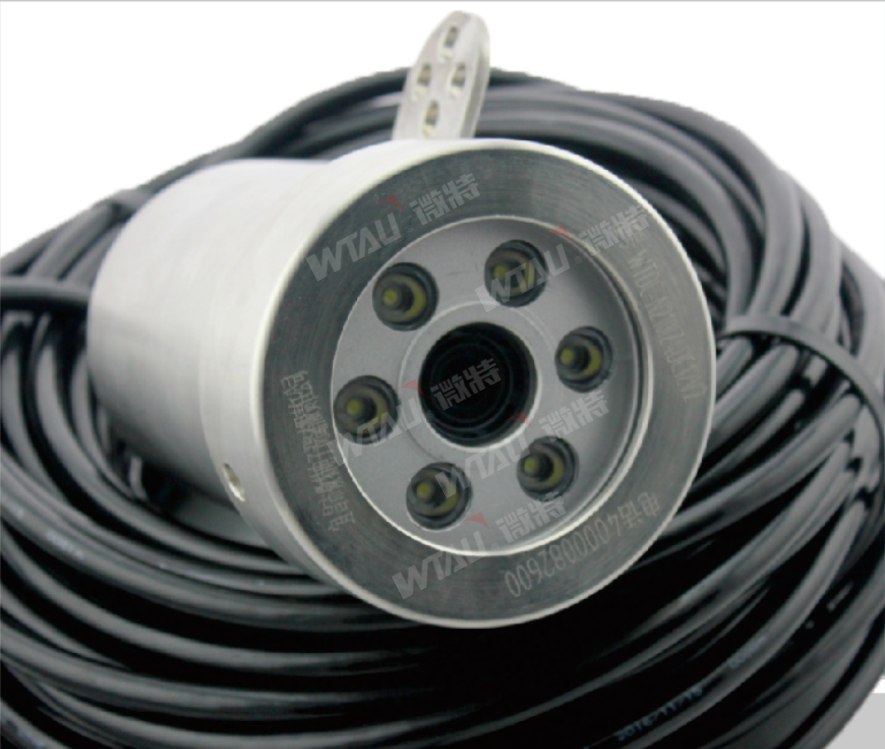 渾濁水域也能高清拍攝？揭秘微特水下攝像頭的硬核實力！